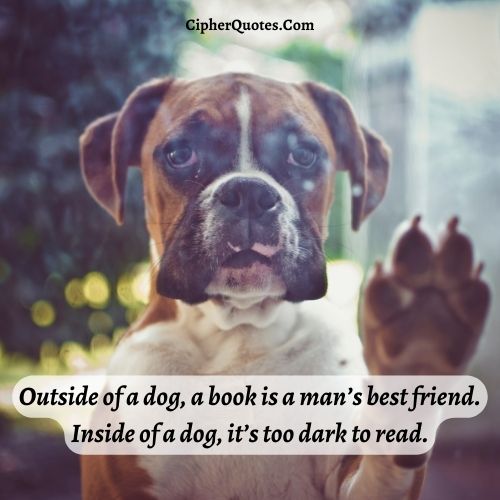 boxer dog inspirational quotes