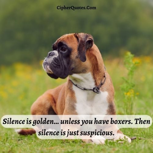 losing a boxer dog quotes