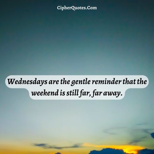 good morning wednesday quotes funny