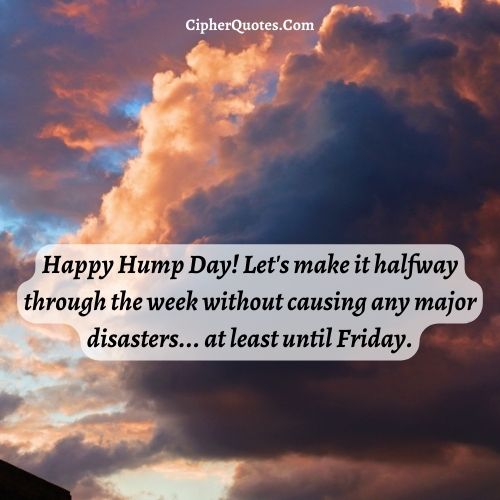 wednesday funny quotes